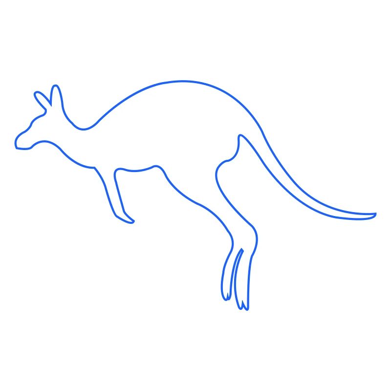 kangaroo