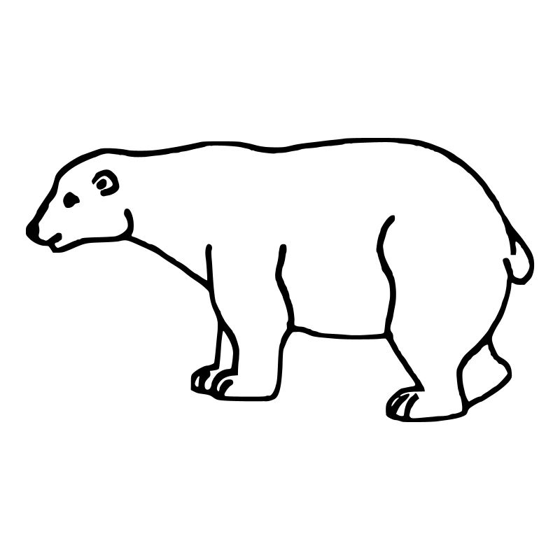 Un ours blanc