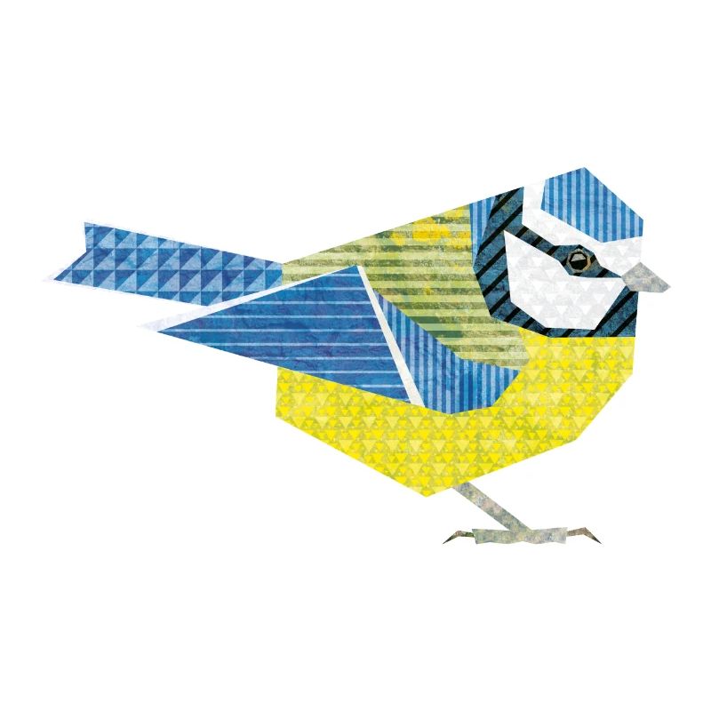 Blue Tit