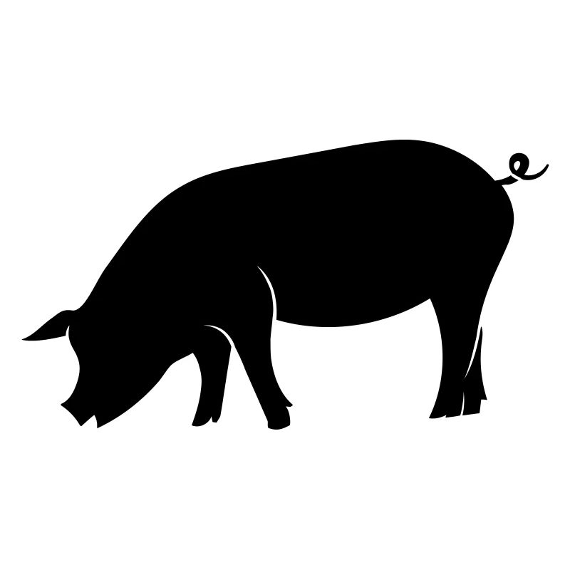 Schwein