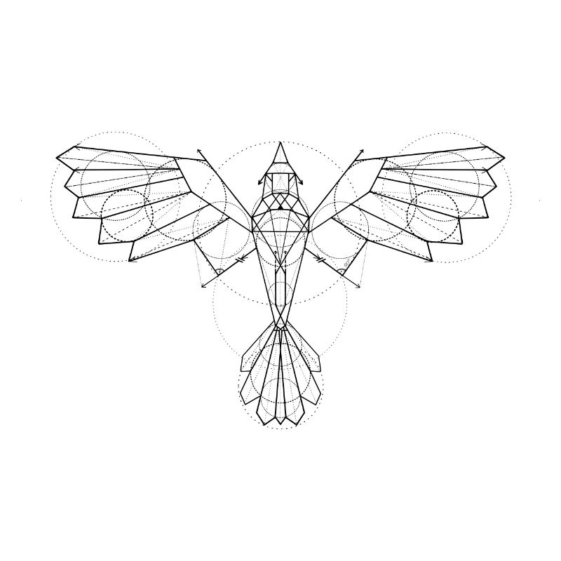 VOGEL GEOMETRISCH
