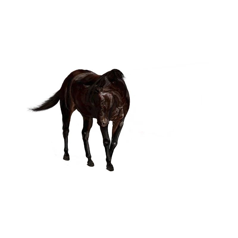 Cheval