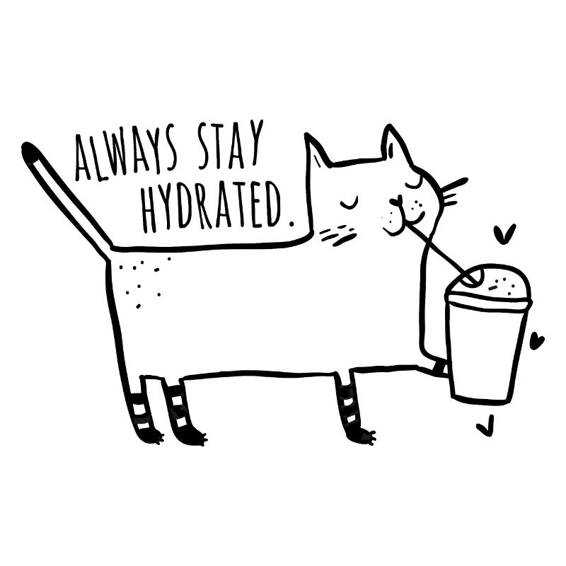 Restez toujours hydraté - Chat