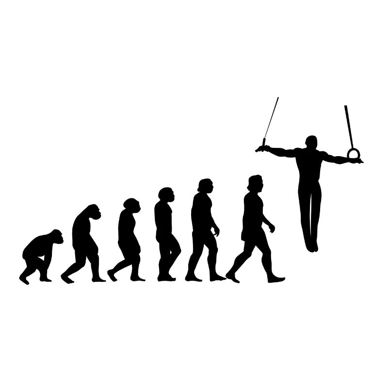 Evolution Turner Wrestling Cross Hang Iron Cross