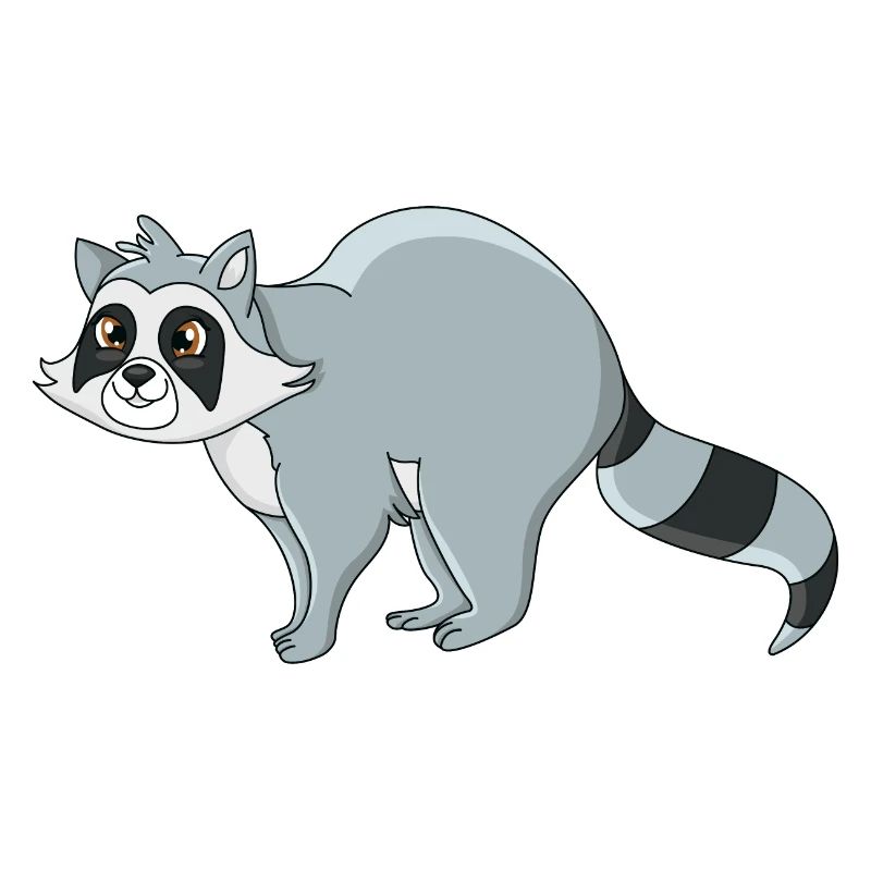Raccoon