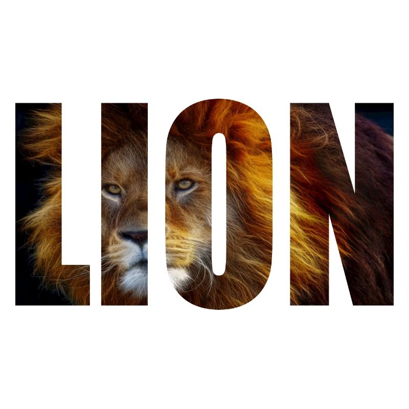 King Lion