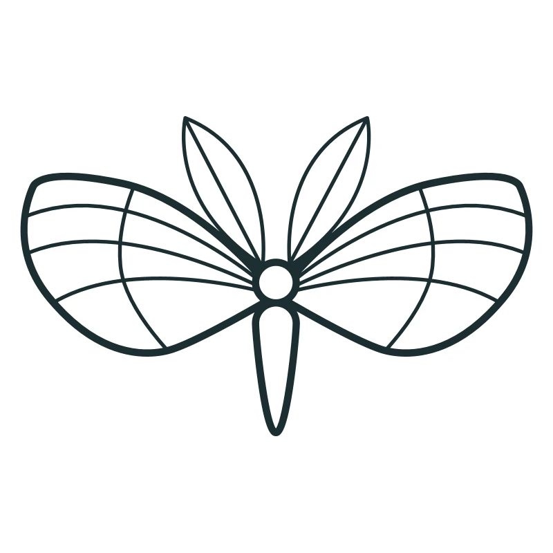 moth with cute stunning wings