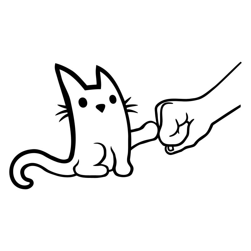 Brofist à pompe à poing de chat