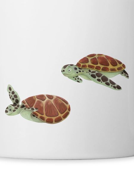 Tortues ahoy!
