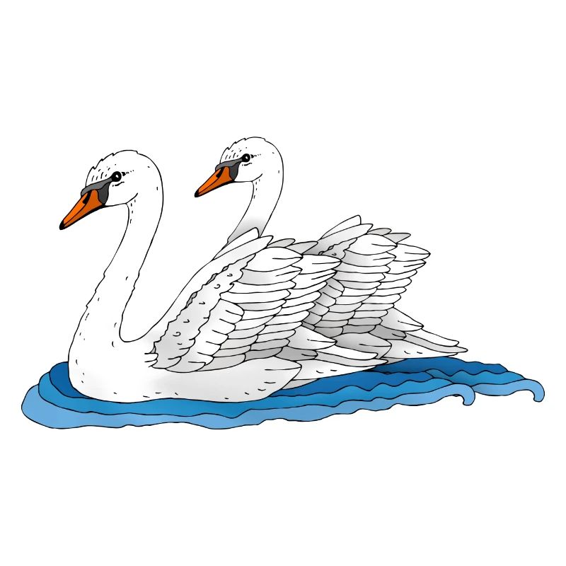 Oiseaux blancs