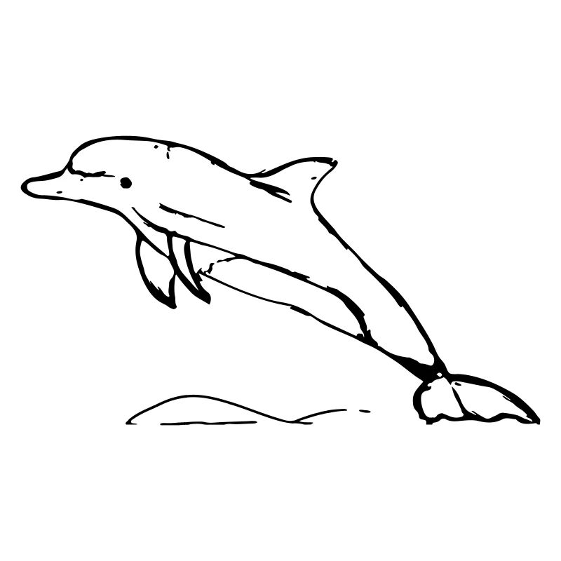 Springender Delphin Geschenk