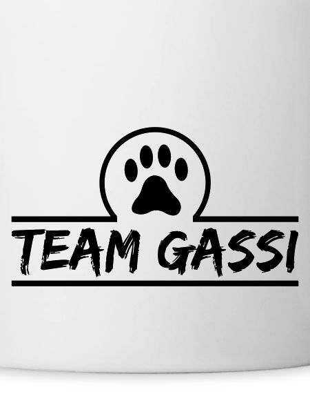 Team Gassi
