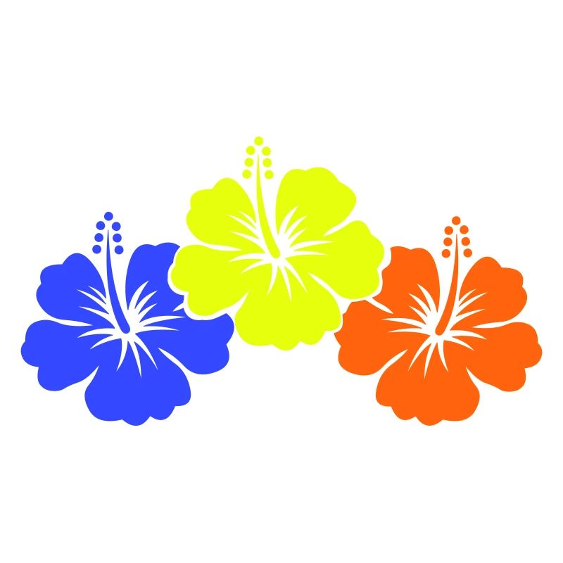 Fleur d’hibiscus