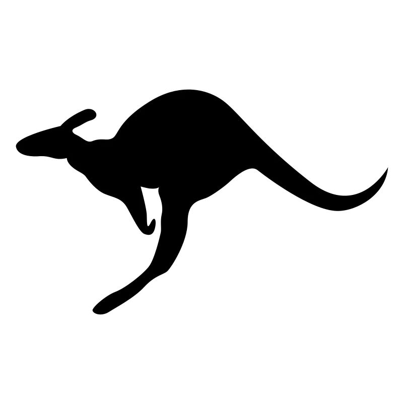 Känguru Australien kangaroo roo wallaby outback