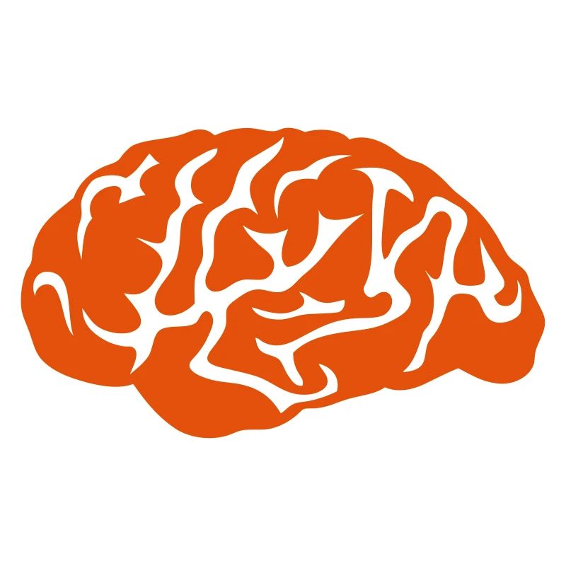 brain brain