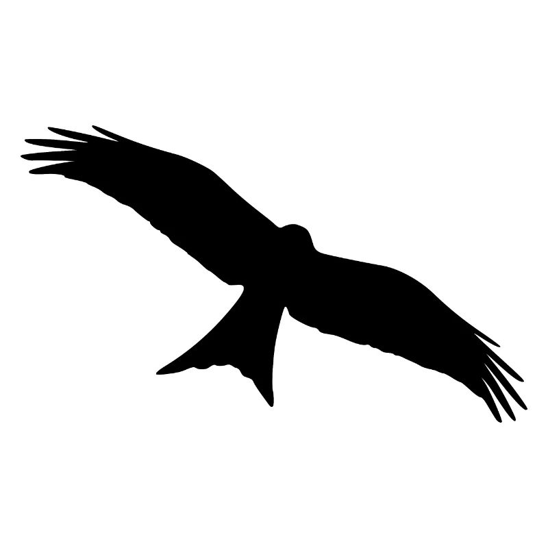 Rotmilan