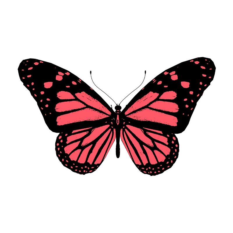 Butterfly, Butterfly, Butterfly