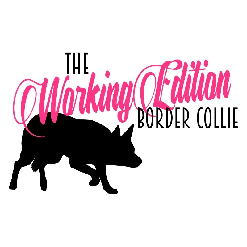 The Working Edition Border Collie