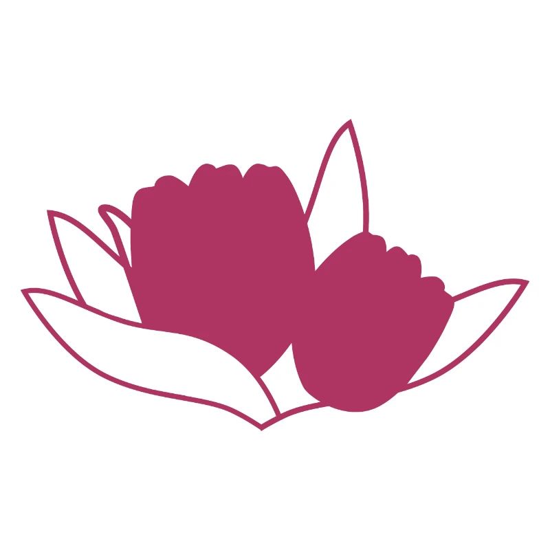 Tulipe Rosa
