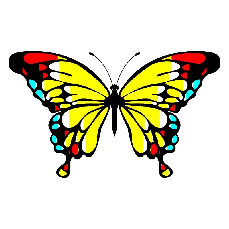 Papillon