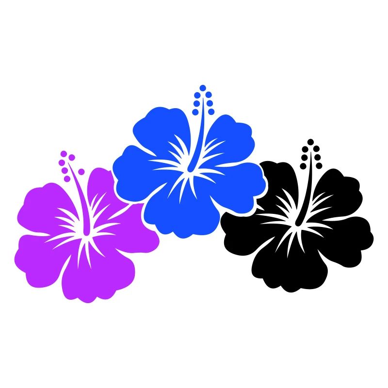 Fleurs d’hibiscus
