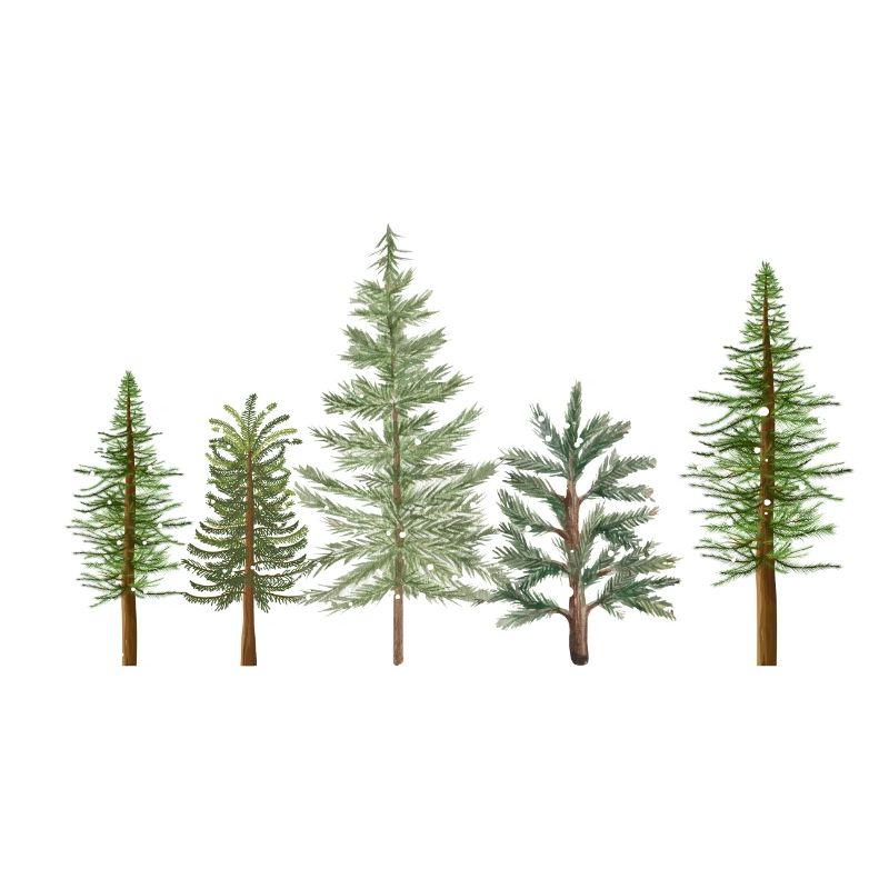Tree Pine Trees for Winter Lovers - Gift