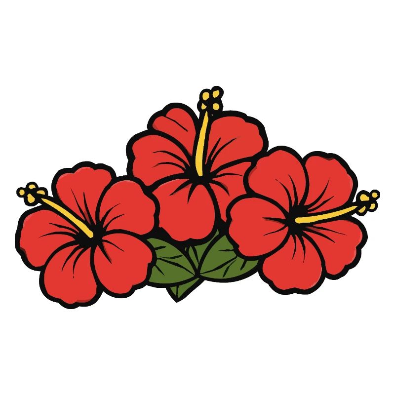 Fleurs d’hibiscus