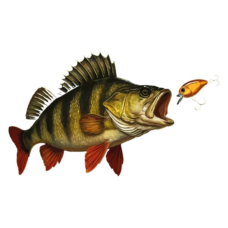 Perchoir à la morsure – Predatory Fish & Wobbler Design