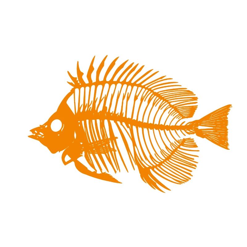 Fisch Orange