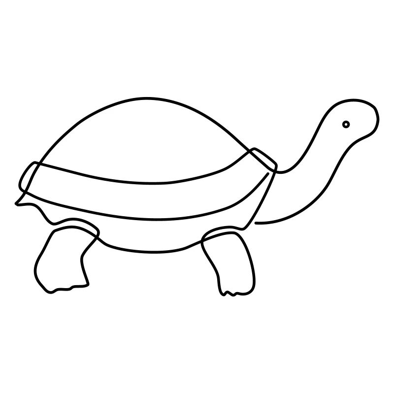 Schildkröte