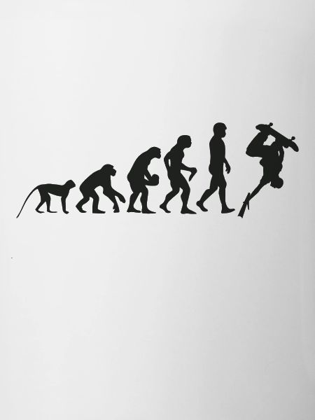 Evolution Skate