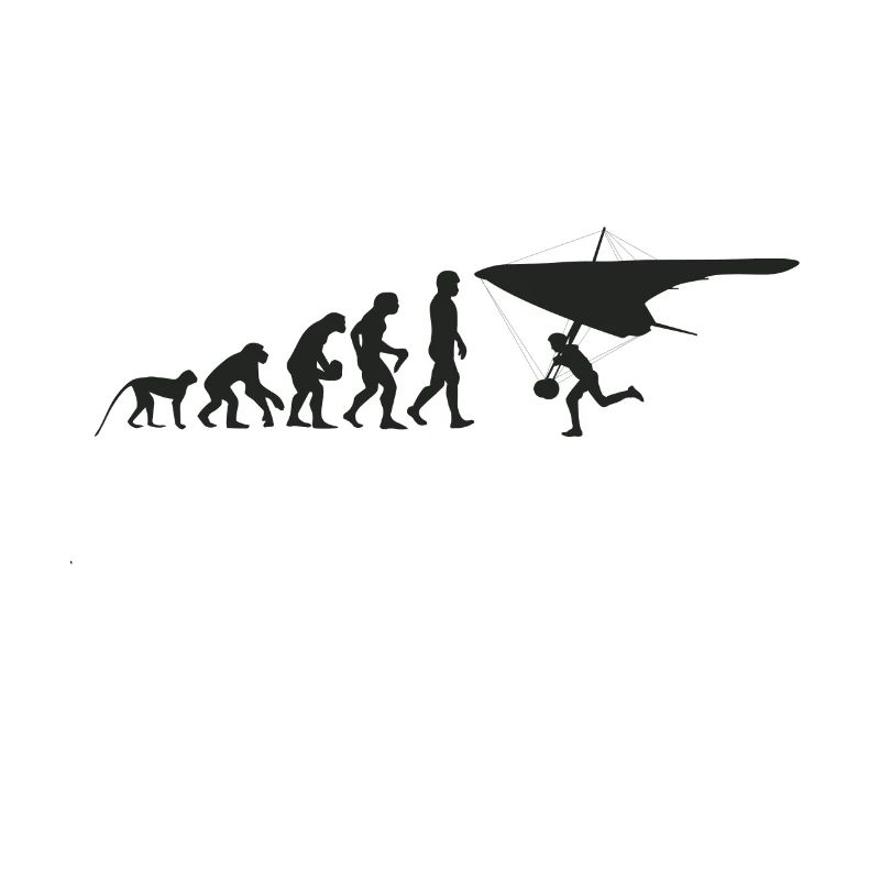 Glider evolution