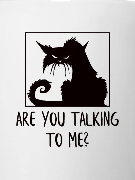 Angry cat