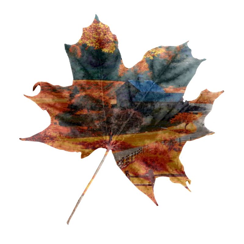 Herbst Blatt Landschaft Geschenkidee