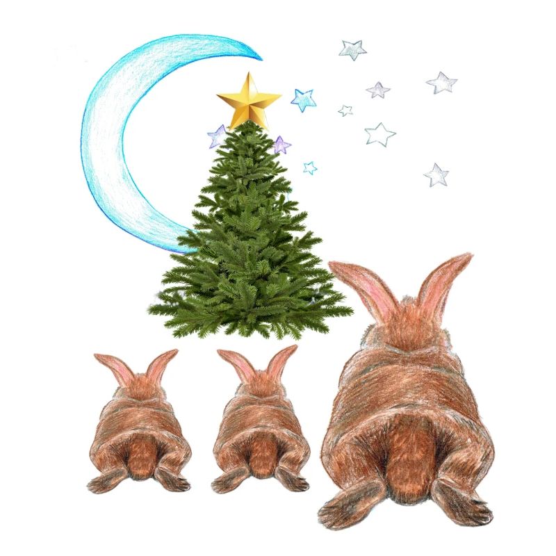 HASE , Noël