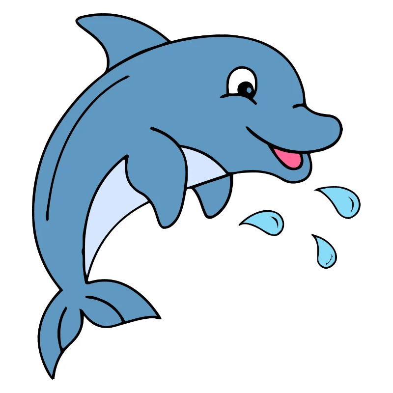 Dolphin with water drops