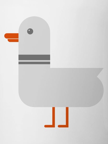 Möwe