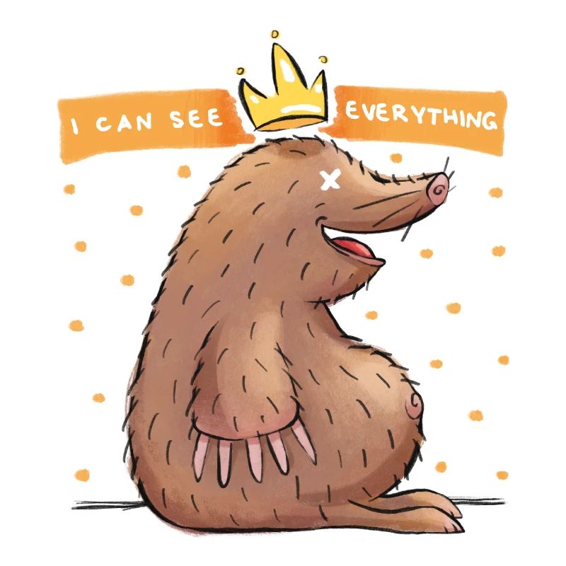 I Can See Everything