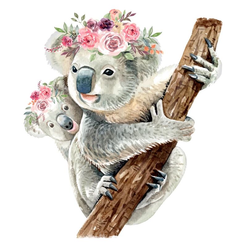 Bébé Koala