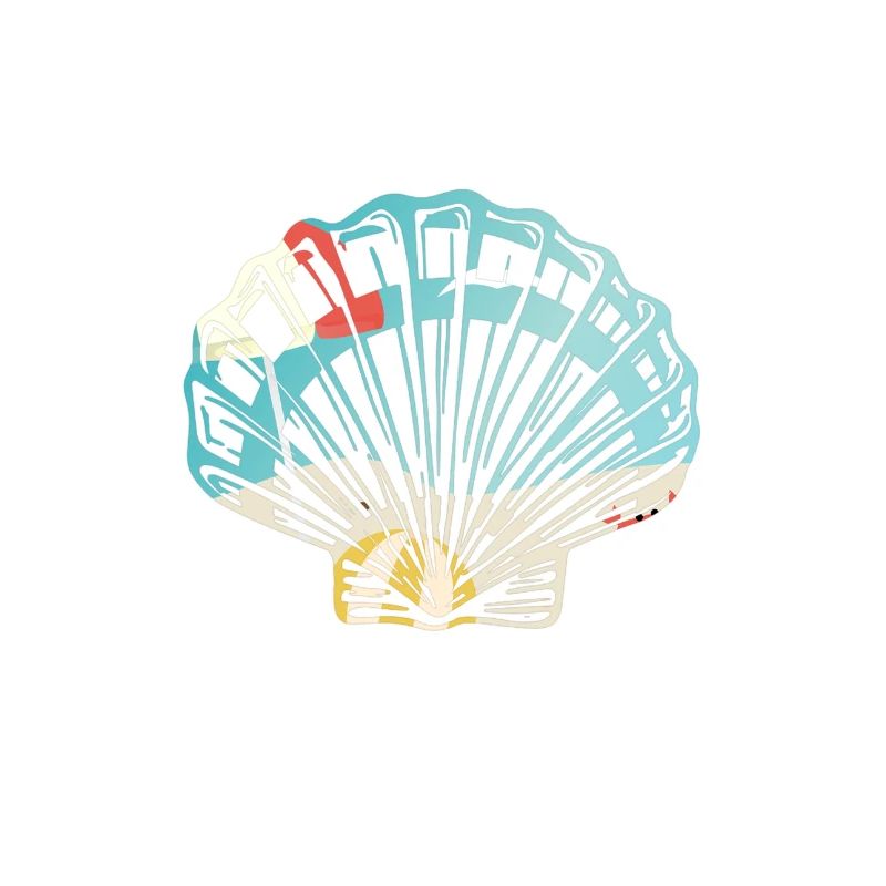 Coquillage avec vide11