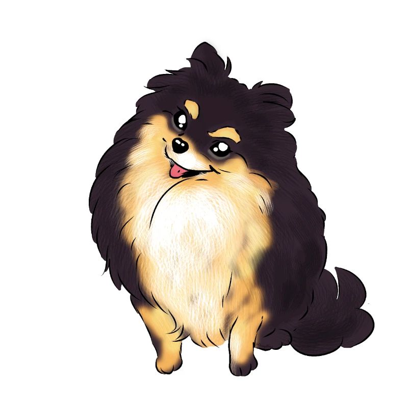 Pompon noir beige