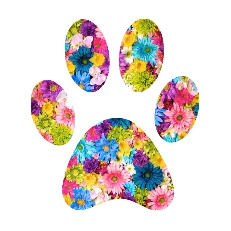 Animal paw