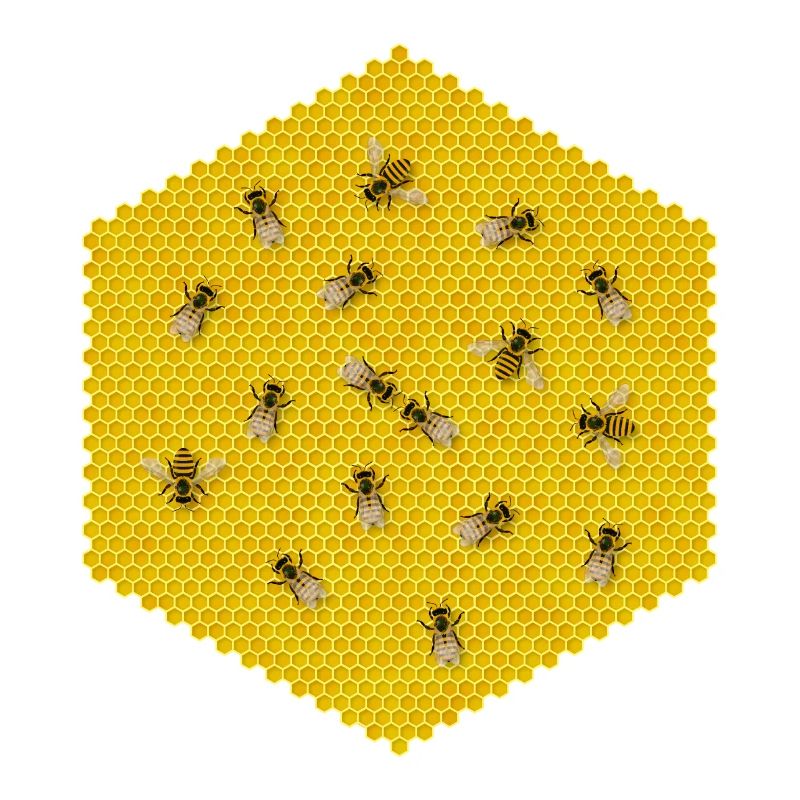 ABEILLES, RUCHE