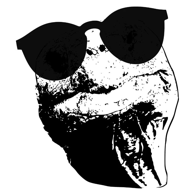 Turtle Sunglasses Turtles black white