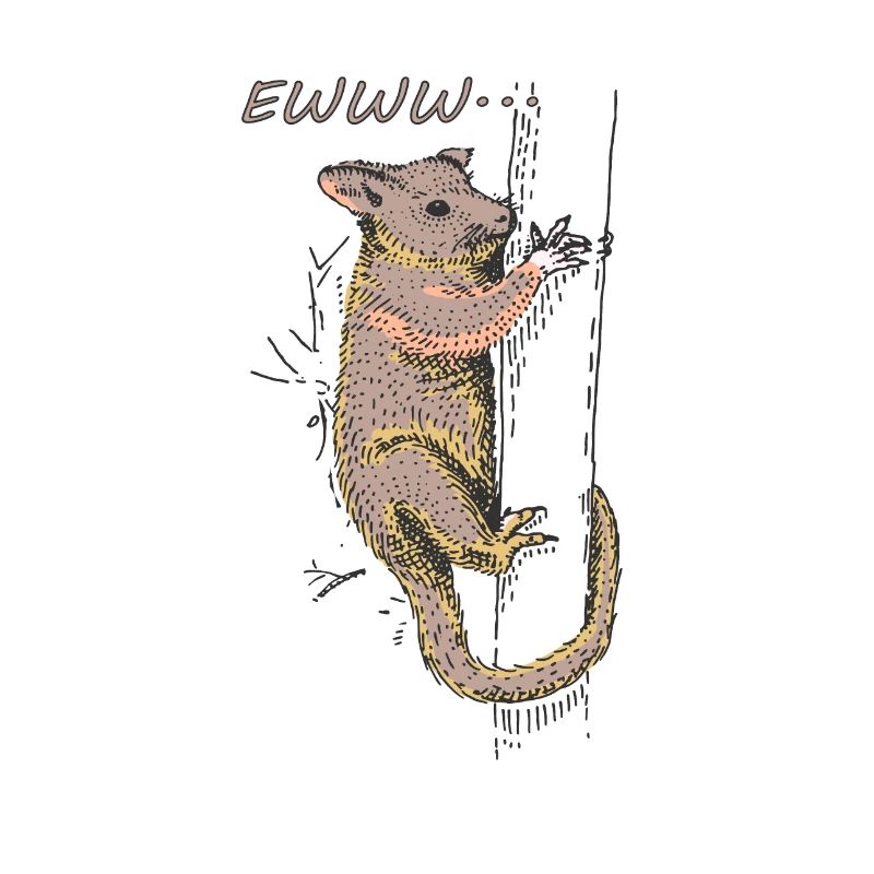 Opossum drôle, Opossum EWWW