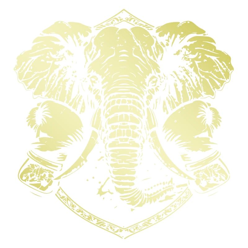 Elefant Boxer