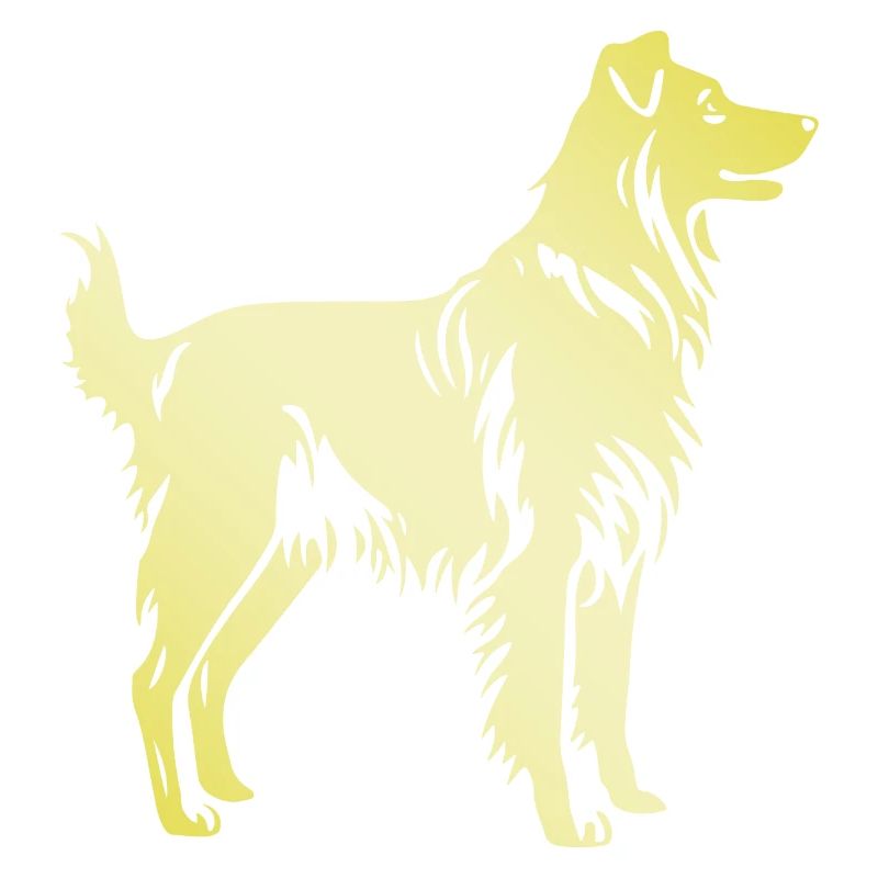 Australian Shepherd Hund Silhouette