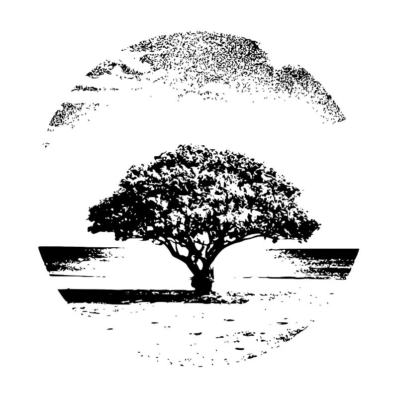 tree sketch