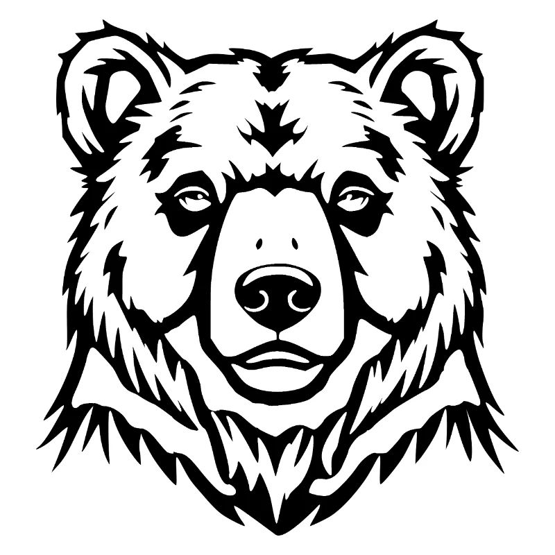 Bear Bear Head Bears T-shirt Gift