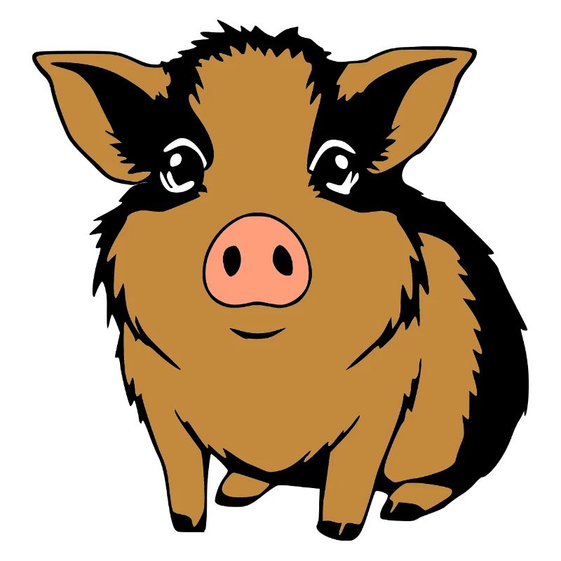 T-shirt cochon d’Inde cadeau